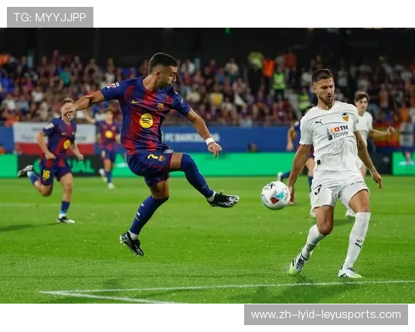 西甲视频直播网站推荐及赛事资源汇总