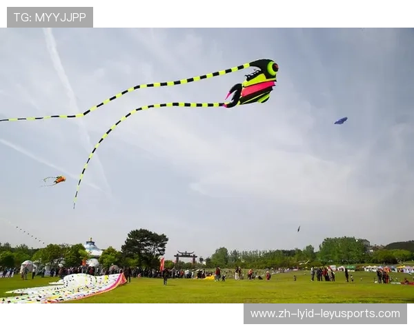 聚焦庐山首届全国风筝精英赛组委会公布工作机构人员选拔通知 聚焦庐山首届全国风筝精英赛组委会公布工作机构人员选拔通知